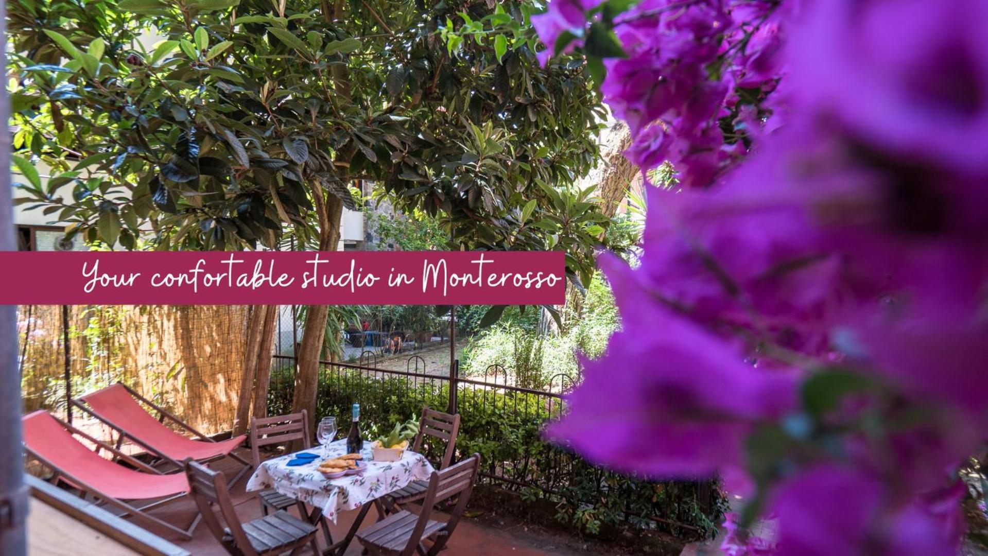 Il Giardino Di Ada Ground Floor Studio With Ac And Patio Monterosso al Mare Bagian luar foto